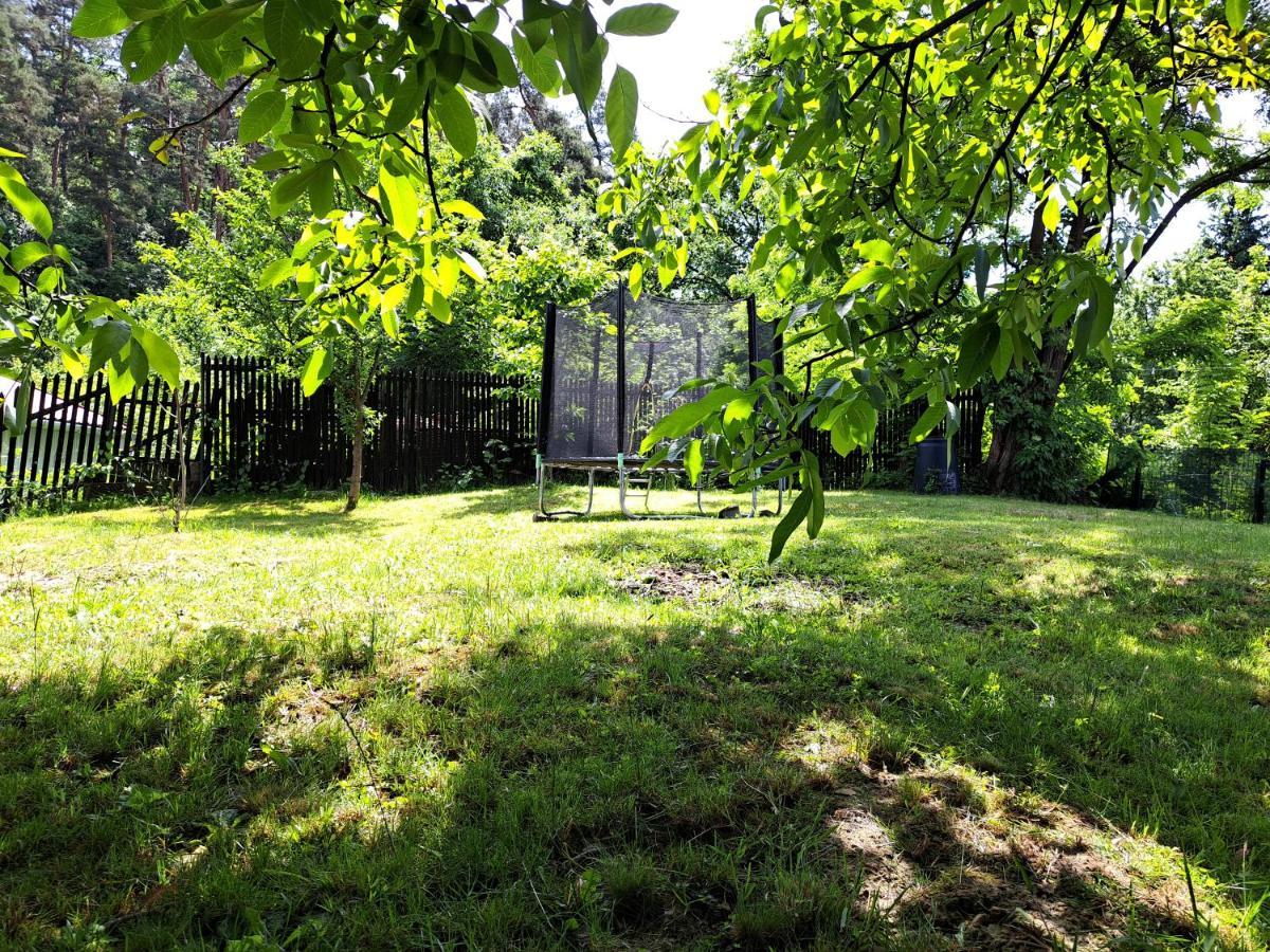 Casa De Vacanta Zsenik Vendeghaz 索瓦塔 外观 照片