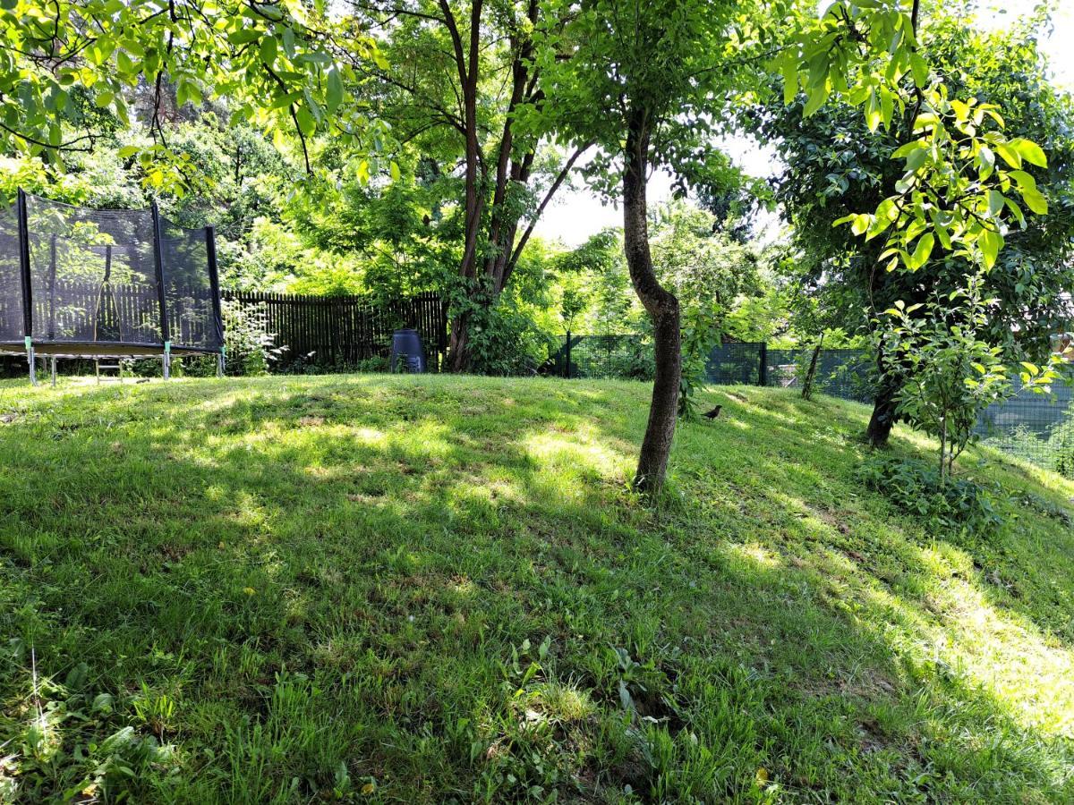 Casa De Vacanta Zsenik Vendeghaz 索瓦塔 外观 照片