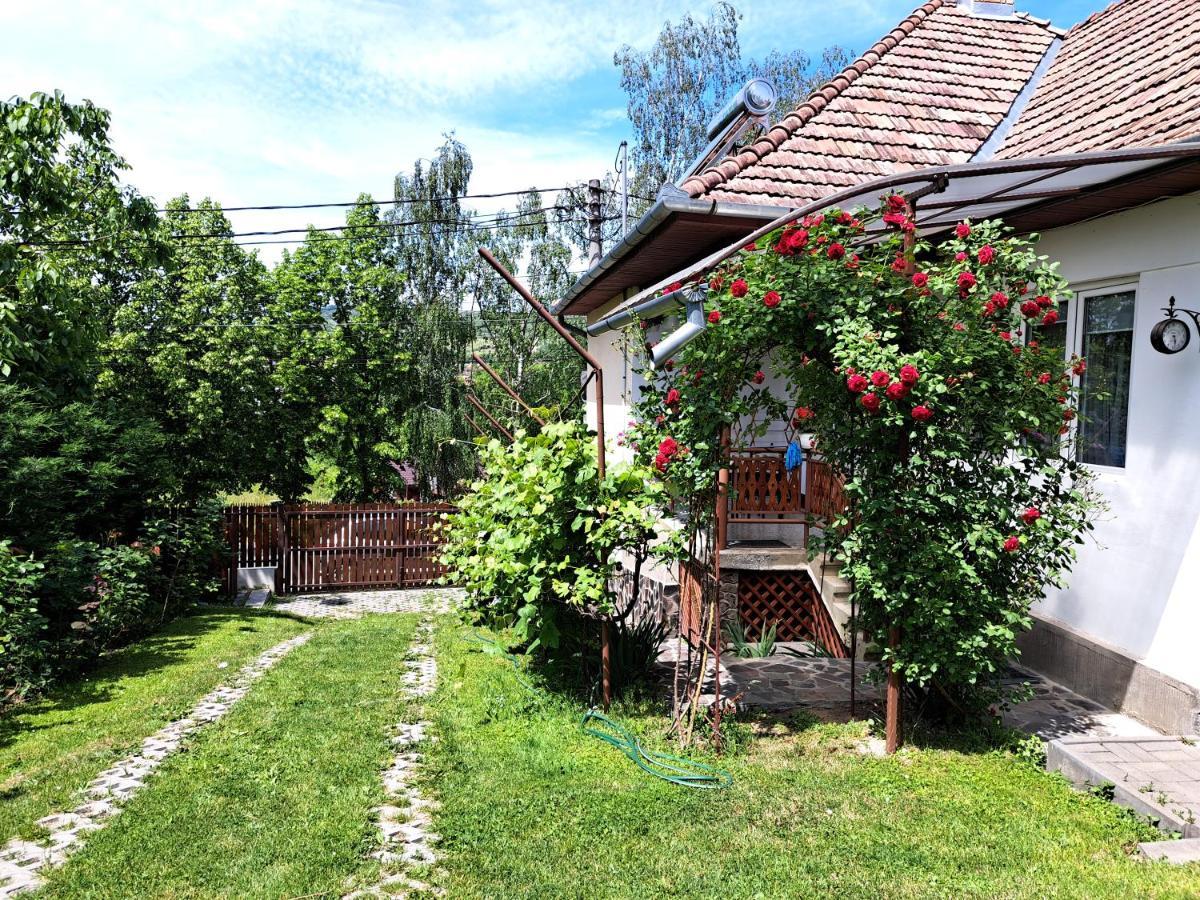 Casa De Vacanta Zsenik Vendeghaz 索瓦塔 外观 照片